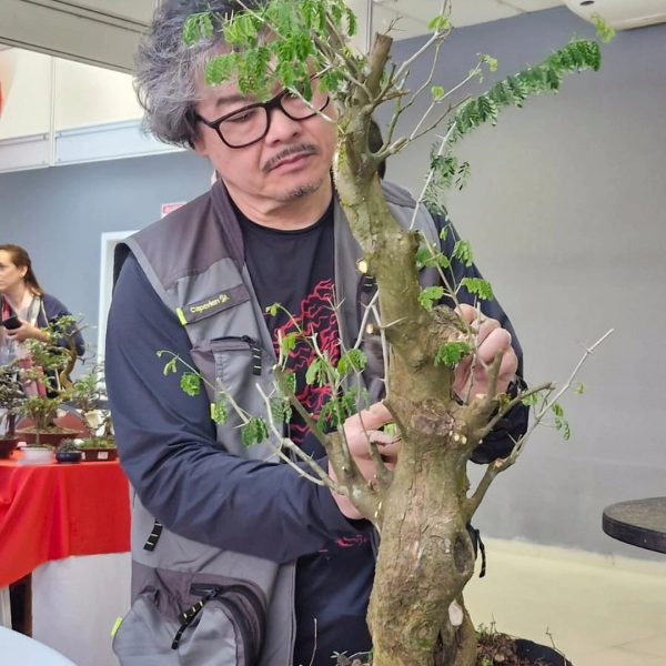 Registro da Nipon Bonsai em publicação sobre cuidados