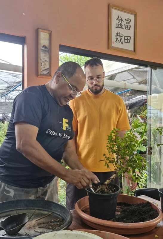 Cuidado com as plantas durante o encontro