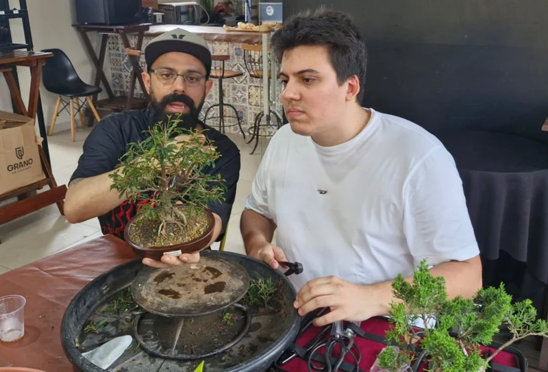Observação e conversa sobre a formação de bonsais
