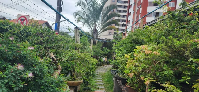 Galeria do acervo — registro 16