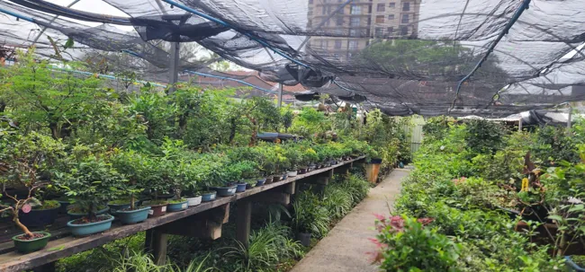 Espaço verde — registro 01