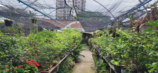 Espaço verde — registro 02