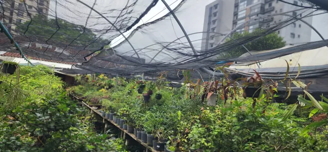 Espaço verde — registro 04