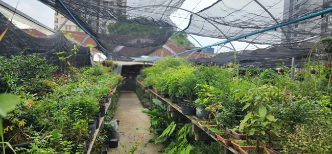 Espaço verde — registro 03