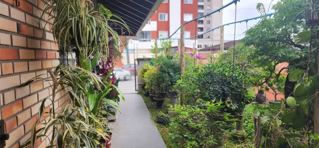 Fachada e entrada — Jardim da entrada