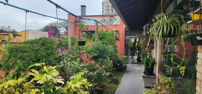 Fachada e entrada — Caminho entre as plantas