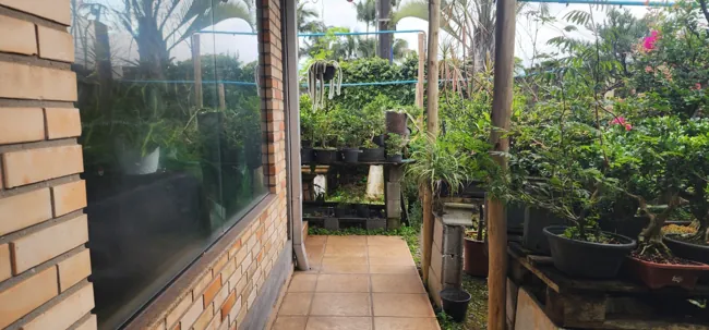 Espaço verde — registro 06