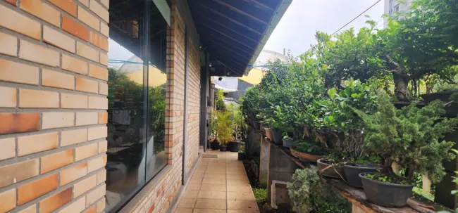 Espaço verde — registro 05