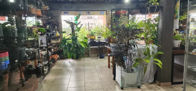 Showroom — registro 17