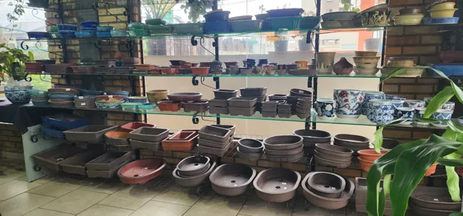 Showroom — registro 16