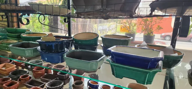 Showroom — registro 14
