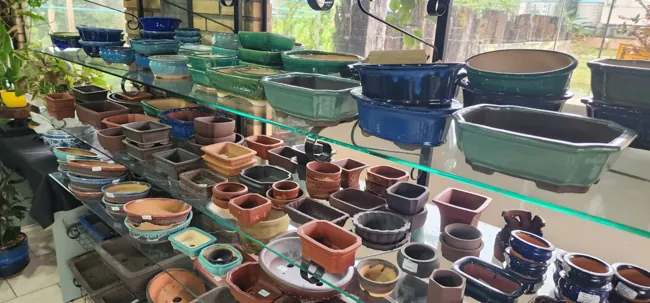 Showroom — registro 12