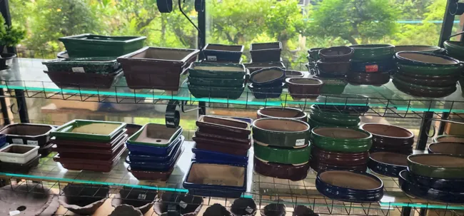 Showroom — registro 11
