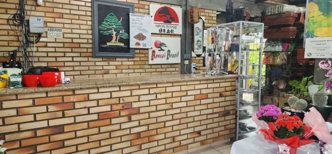 Showroom — registro 02