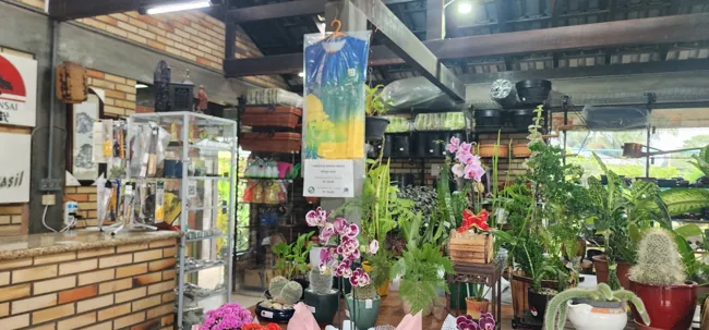 Showroom — registro 01