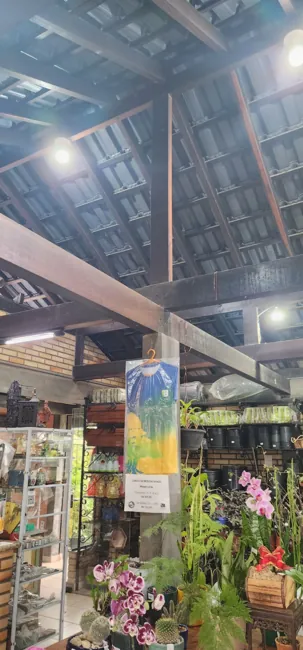 Showroom — registro 04