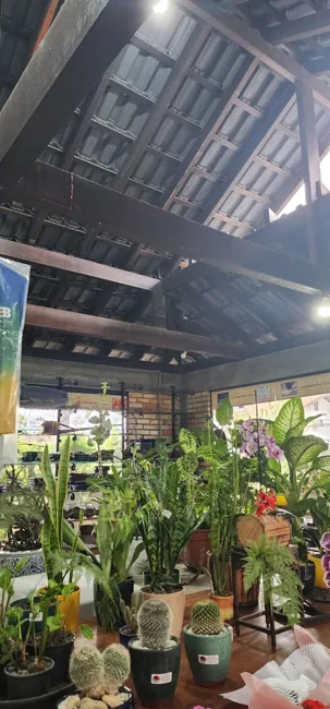 Showroom — registro 05