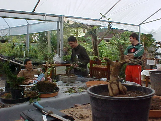 I Encontro Nipon Bonsai, 2000 — registro 05