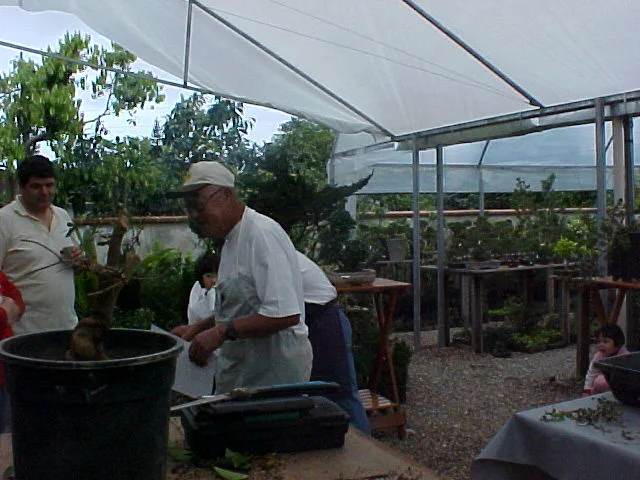 I Encontro Nipon Bonsai, 2000 — registro 06