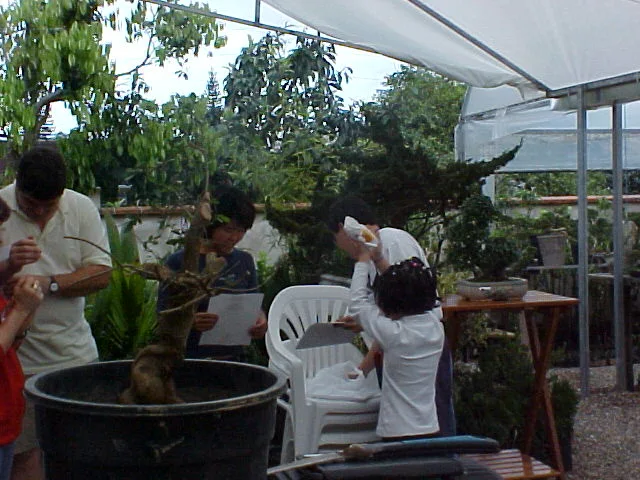 I Encontro Nipon Bonsai, 2000 — registro 08