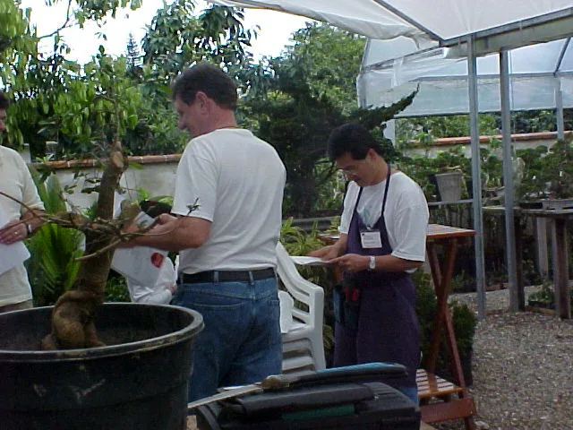 I Encontro Nipon Bonsai, 2000 — registro 11