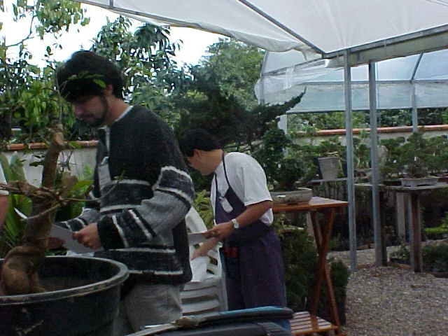 I Encontro Nipon Bonsai, 2000 — registro 15