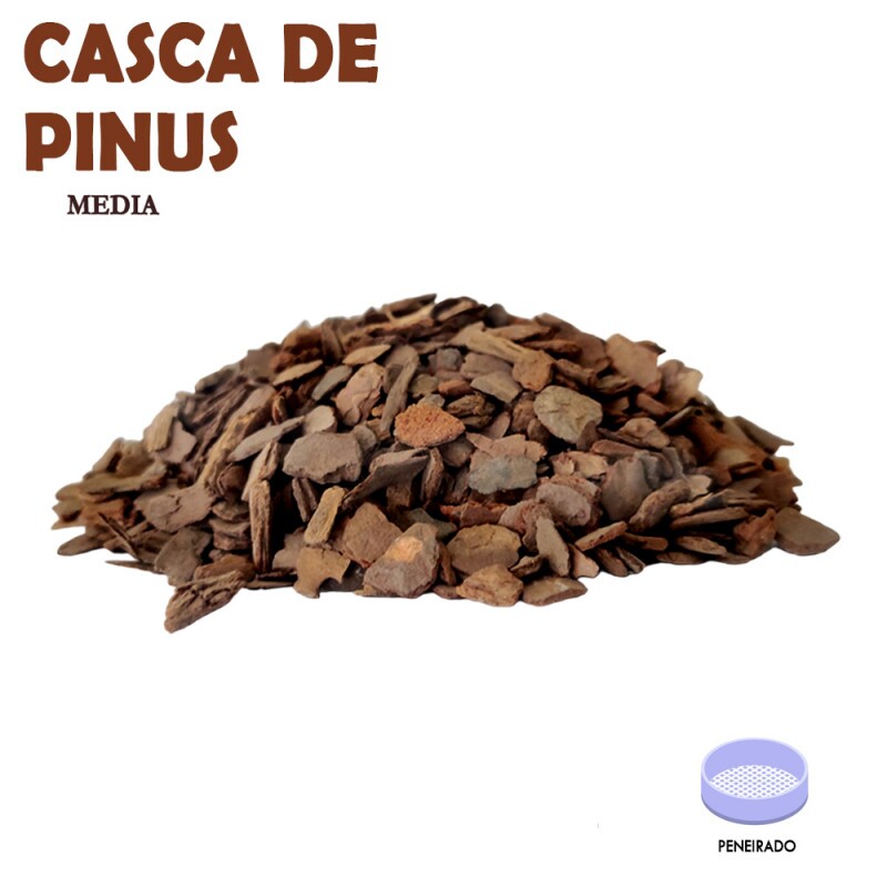 Casca de Pinus Média