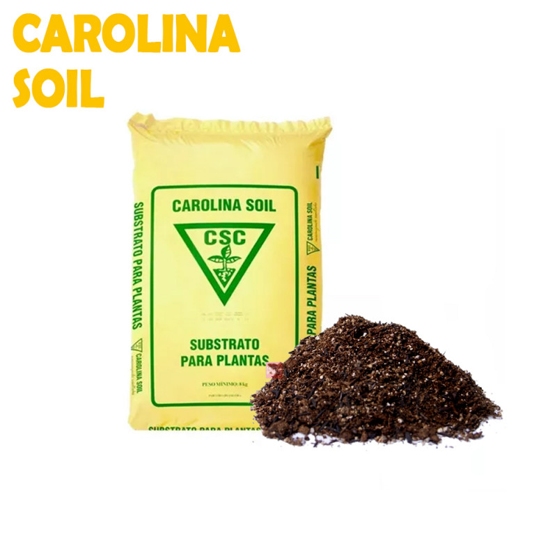 Substrato Carolina Soil