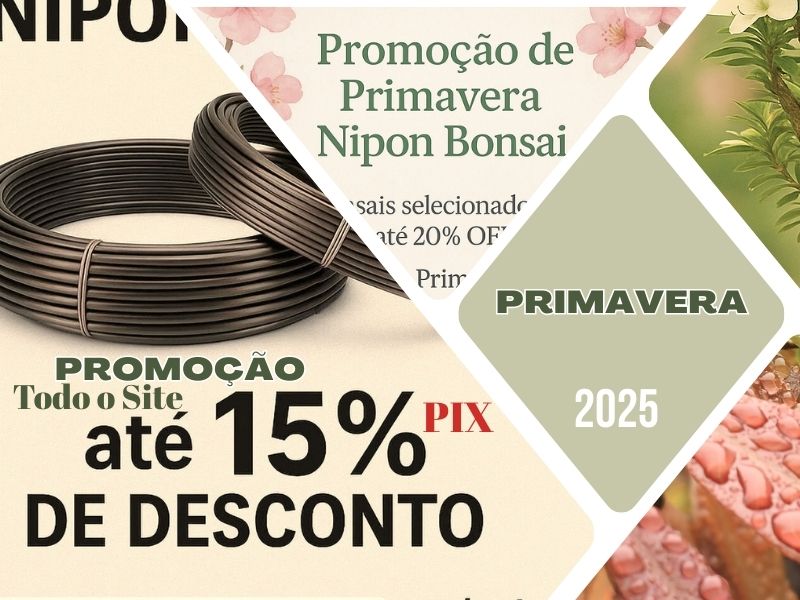 Promoção primavera 2025