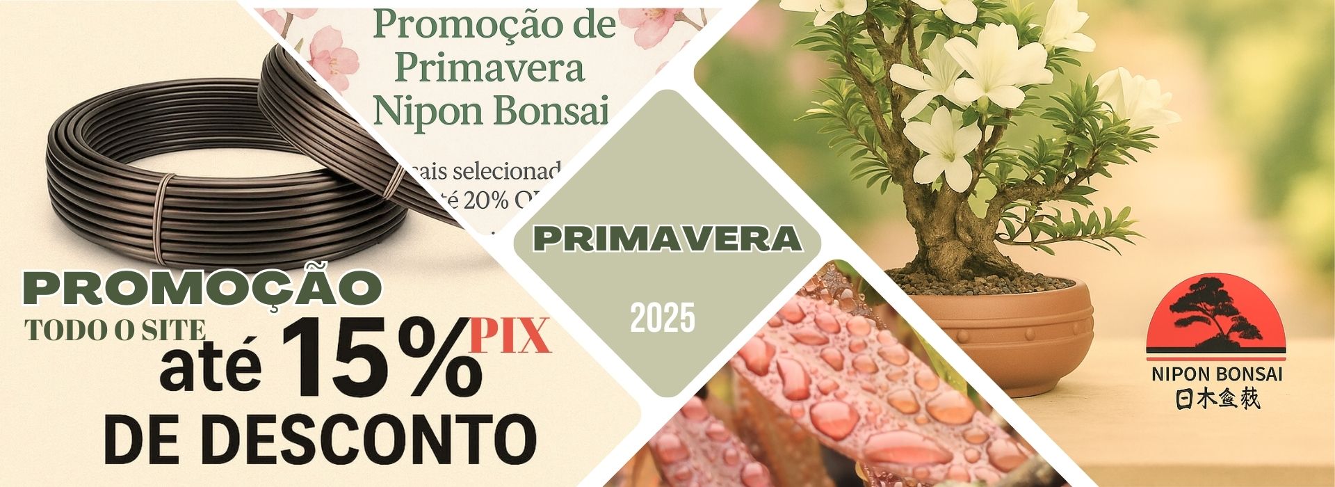 Promoção Primavera 2025