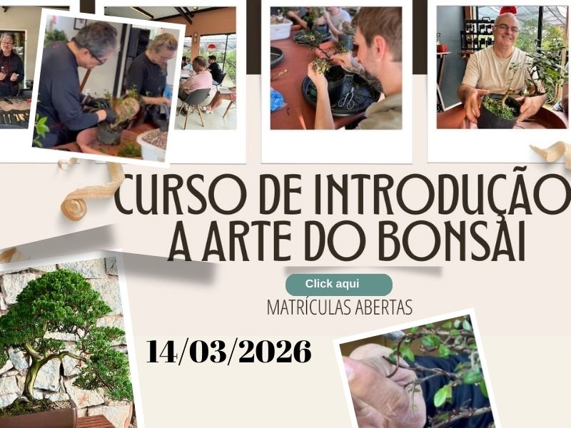 curso 14.03.26