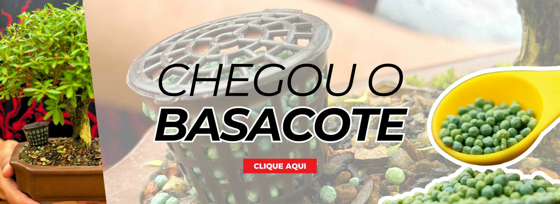 basacote