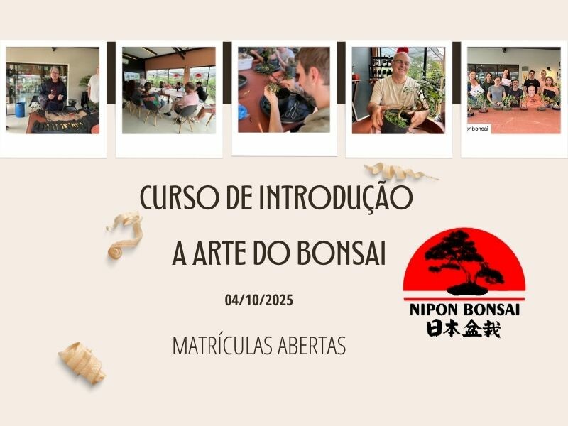 Curso 04.10.25