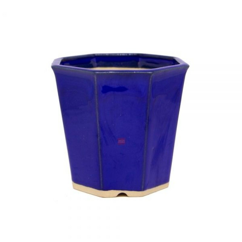 Vaso Bonsai Mizuno 10,5 x 10,5 x 9,5 cm Azul (oitavado)