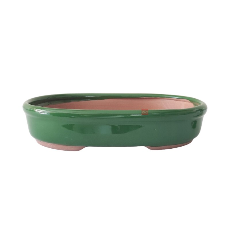 Vaso Bonsai Petrópolis 24,5 x 17 x 5 cm - 434V