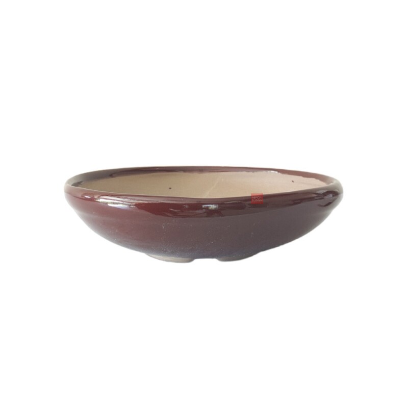 Vaso Bonsai Petrópolis 19 x 5 cm - 447M