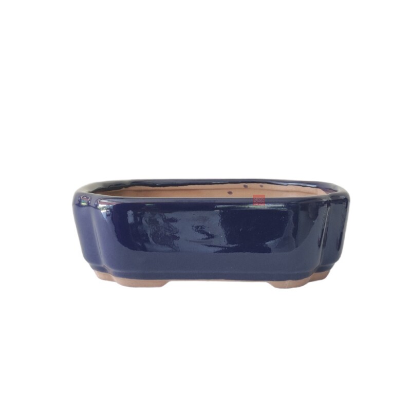 Vaso Bonsai Petrópolis 20 x 14 x 6 cm - 456A