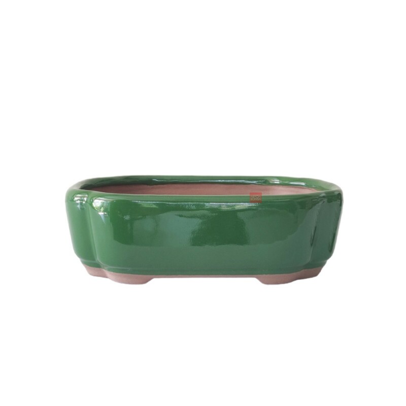 Vaso Bonsai Petrópolis 20 x 14 x 6 cm - 456V