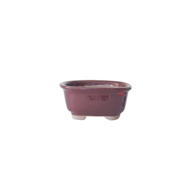 Vaso Bonsai Petrópolis 10,5 x 9 x  5 cm - 462M