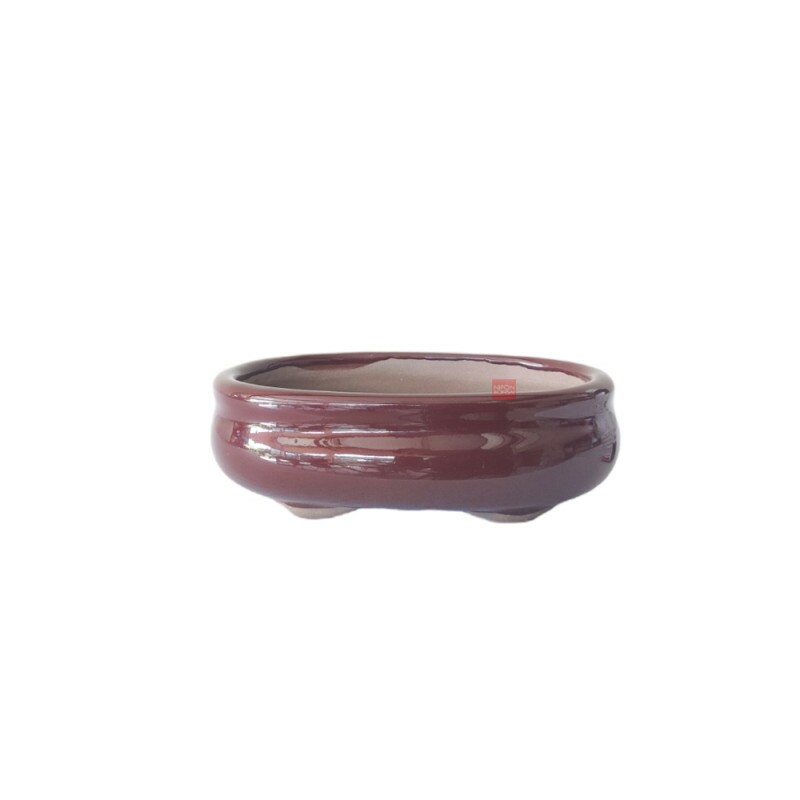 Vaso Bonsai Petrópolis 14,5 X 11 x 5 cm - 467M