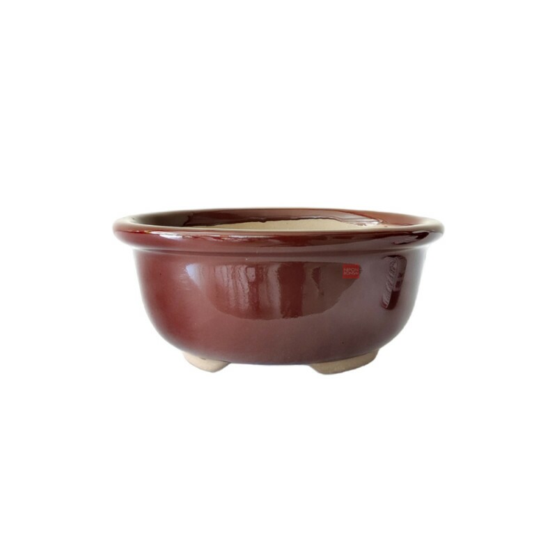 Vaso Bonsai Petrópolis 17 x 7 cm - 486M