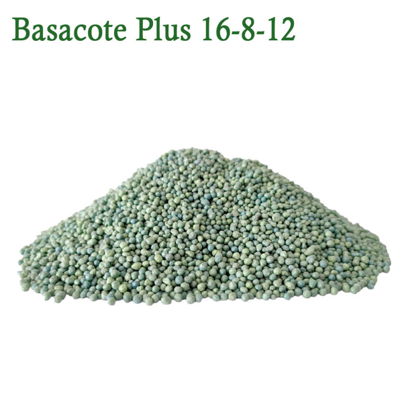 Fertilizante Quimico Basacote 16-08-12