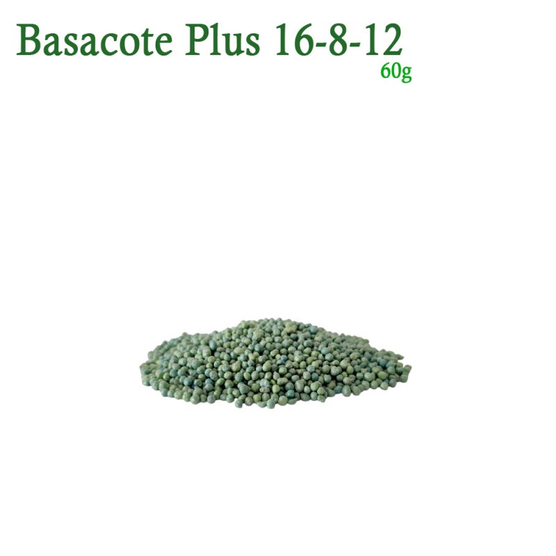 Fertilizante Quimico Basacote 16-08-12 - 60g