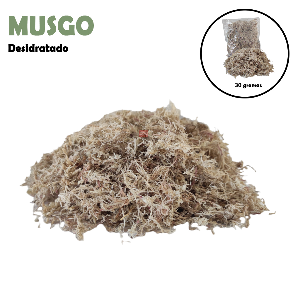Musgo musgo sphagnum deshidratado