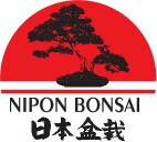 Nipon Bonsai