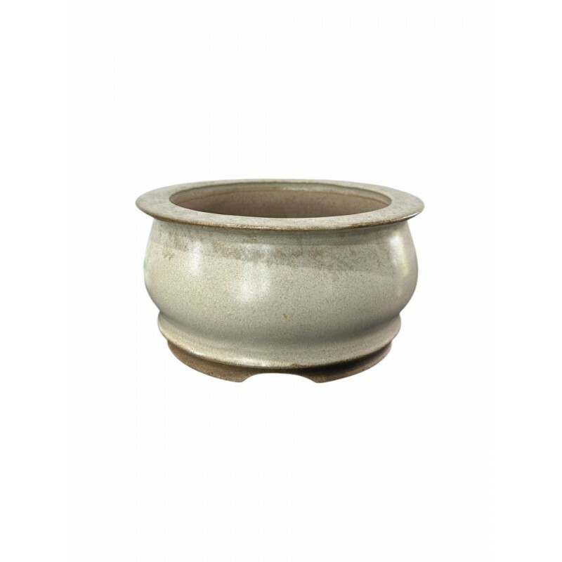Vaso Jorge Ribas Raiz Vaso Jorge Ribas Raiz