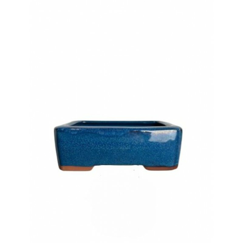 VASO CHINES Prusia - XC032 VASO CHINES Prusia - XC032