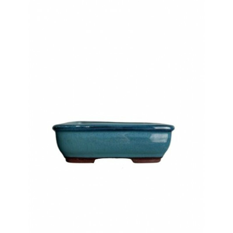 VASO CHINES azul Bondi  - CX043