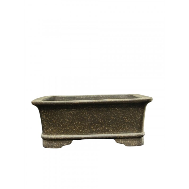 VASO CLEAN CHINES VASO CLEAN CHINES