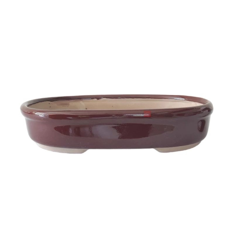 Vaso Bonsai Petrópolis 24,5 x 17 x 5 cm - 434M